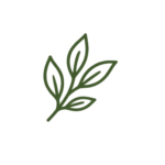 06 hypnotherapy leaves